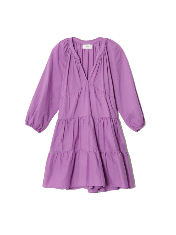 Coast clearance plum dress